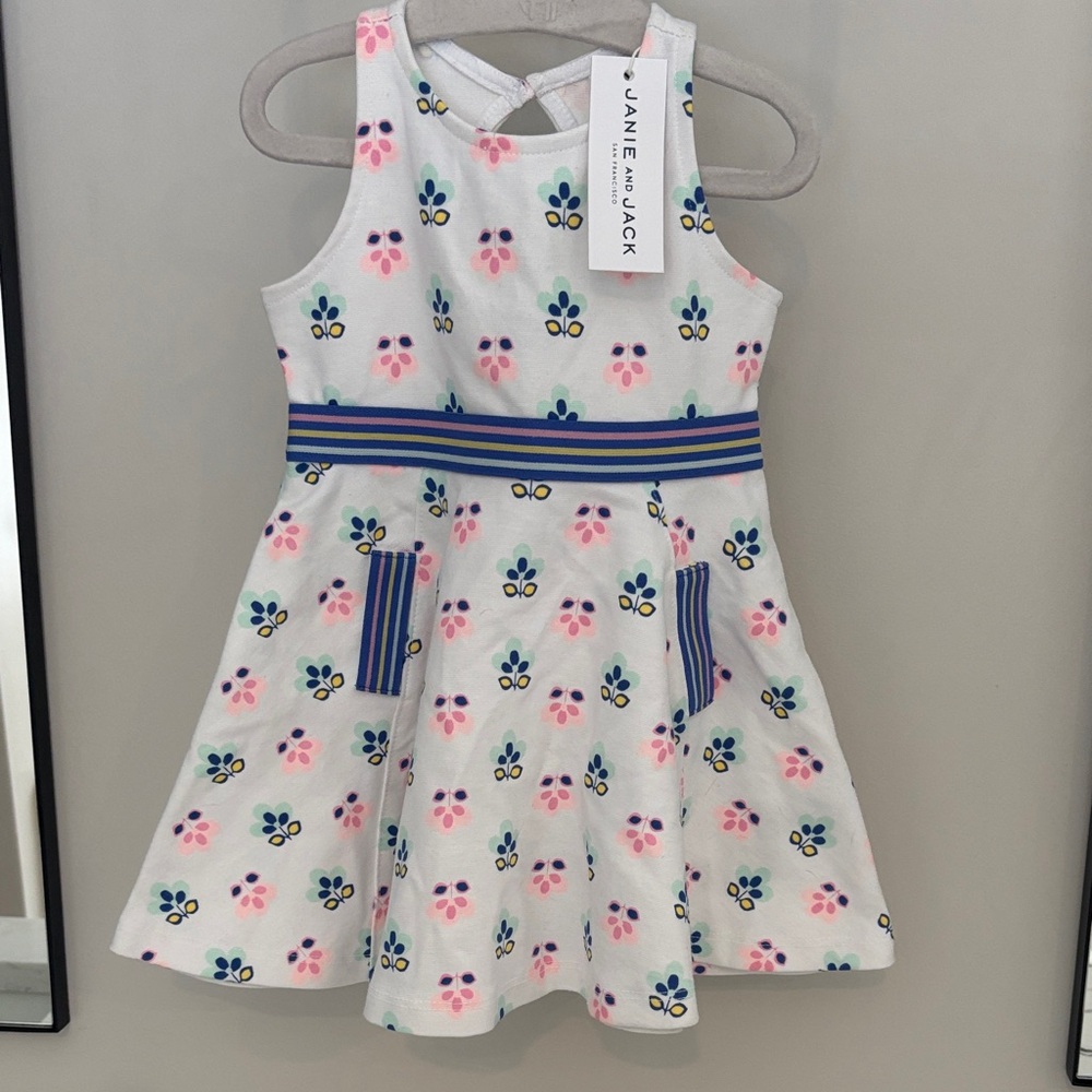 Janie and Jack White Dress with Pink and Blue Floral Pattern